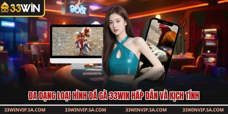 Đa dạng loại hình đá gà 33WIN hấp dẫn và kịch tính
